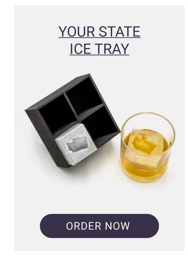 YOUR STATE ICE TRAY