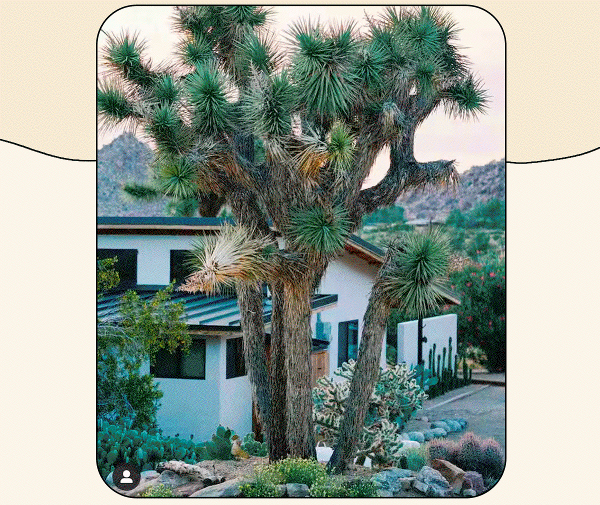 Book a Desert Getaway
