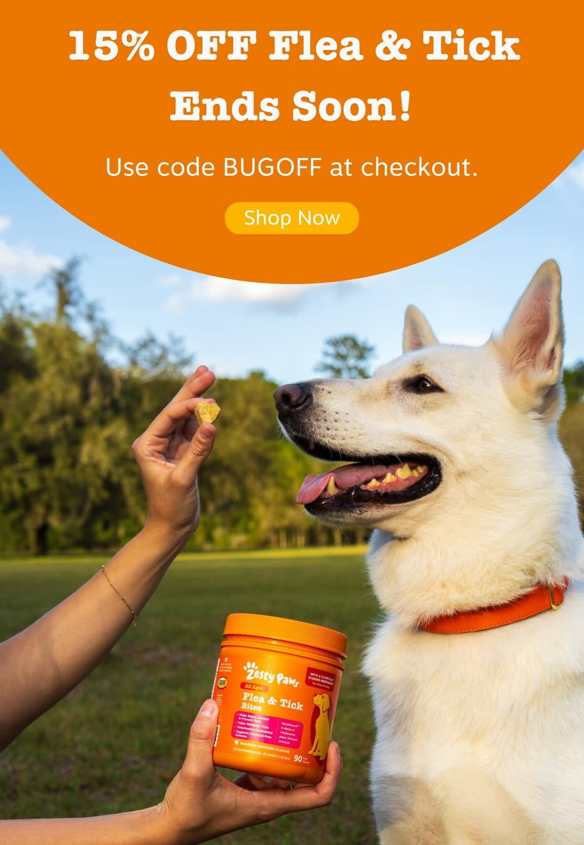 15% off Flea & Tick Ends Soon! Use code BUGOFF at checkout. Shop Now.