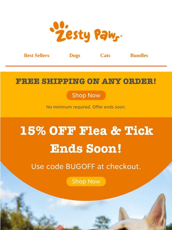 ⏰ FREE shipping on any order, no minimum, ENDS SOON! 🏃