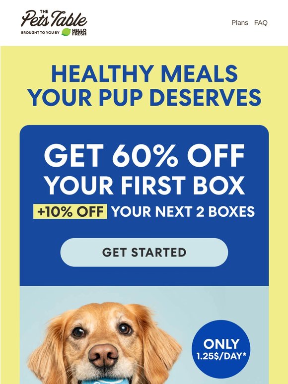 Better bowls for your pup + 60% OFF