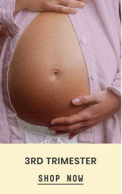 3rd Trimester
