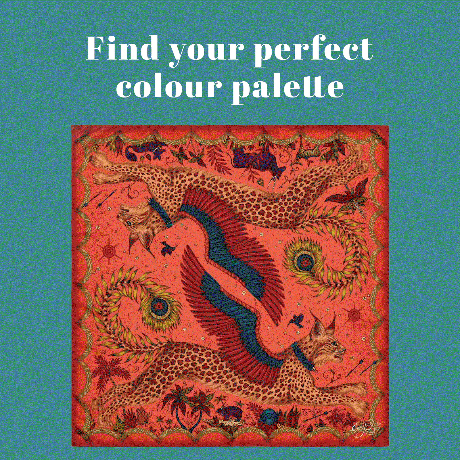 Find Your Perfect Palette
