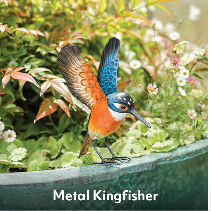 Metal Kingfisher