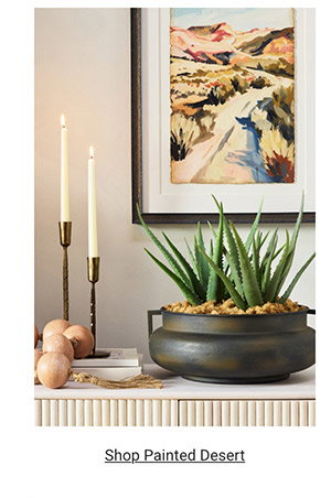Shop Painted Desert >