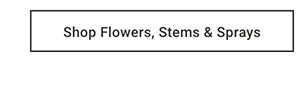 Shop Flowers, Stems & Sprays >