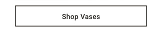 Shop Vases >