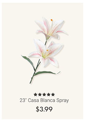 23" Casa Blanca Spray