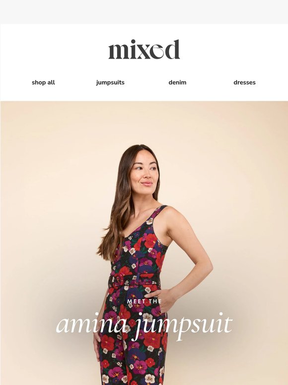 REINTRODUCING AMINA