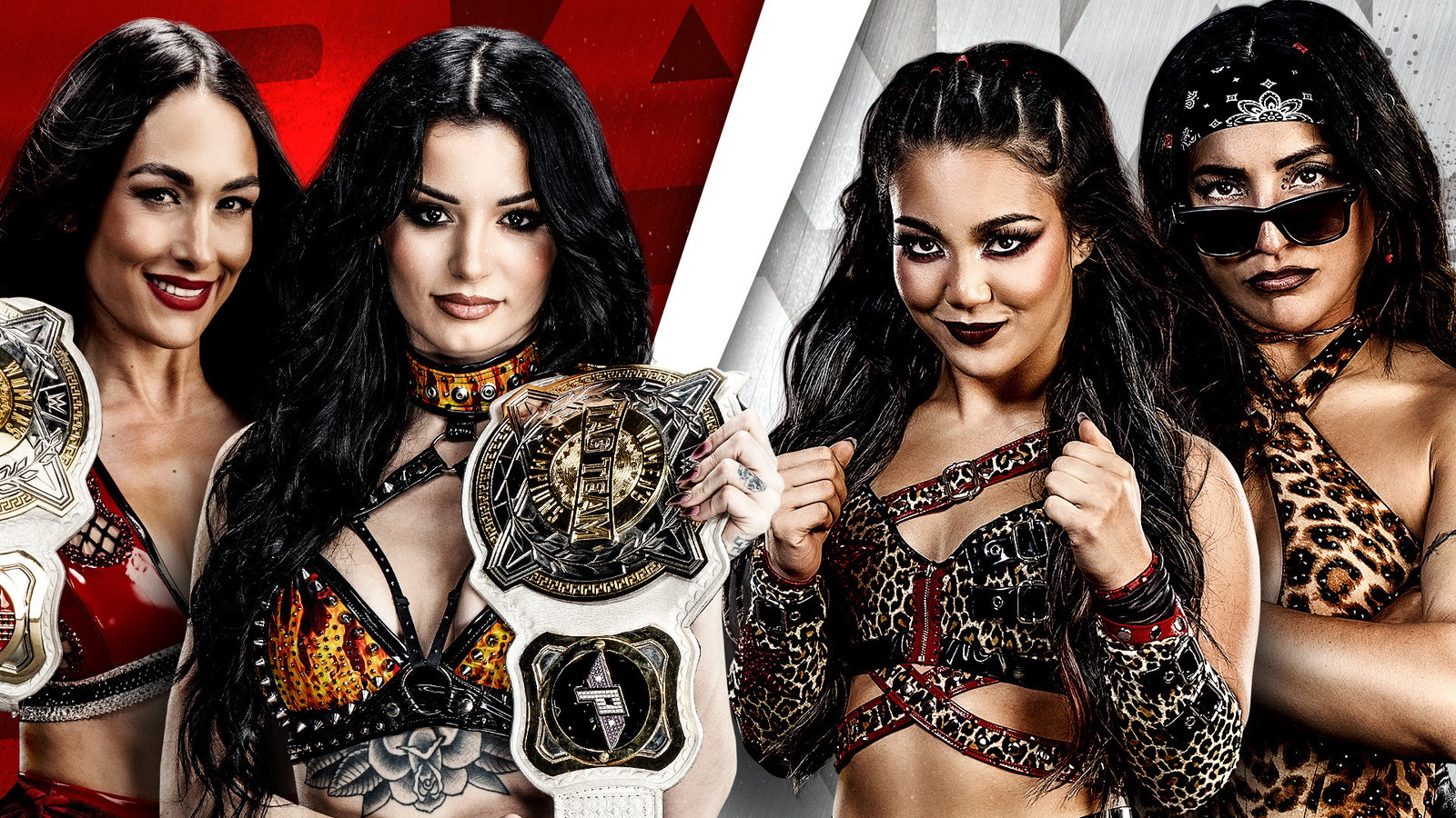 WWE WOMEN'S TAG TEAM TITLES MATCH