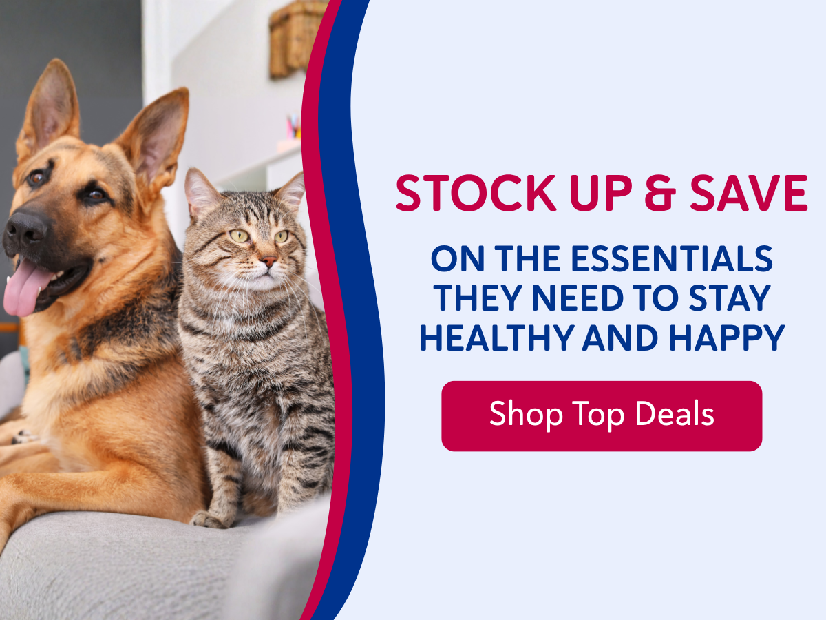 Shop Top Deals