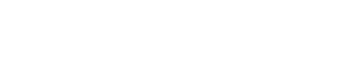 partiQlar Logo
