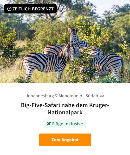 Big-Five-Safari nahe dem Kruger-Nationalpark