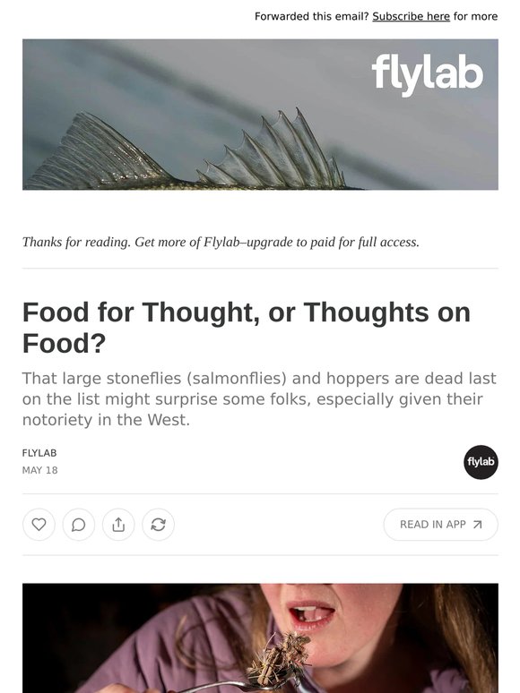 Food for Thought, or Thoughts on Food?
