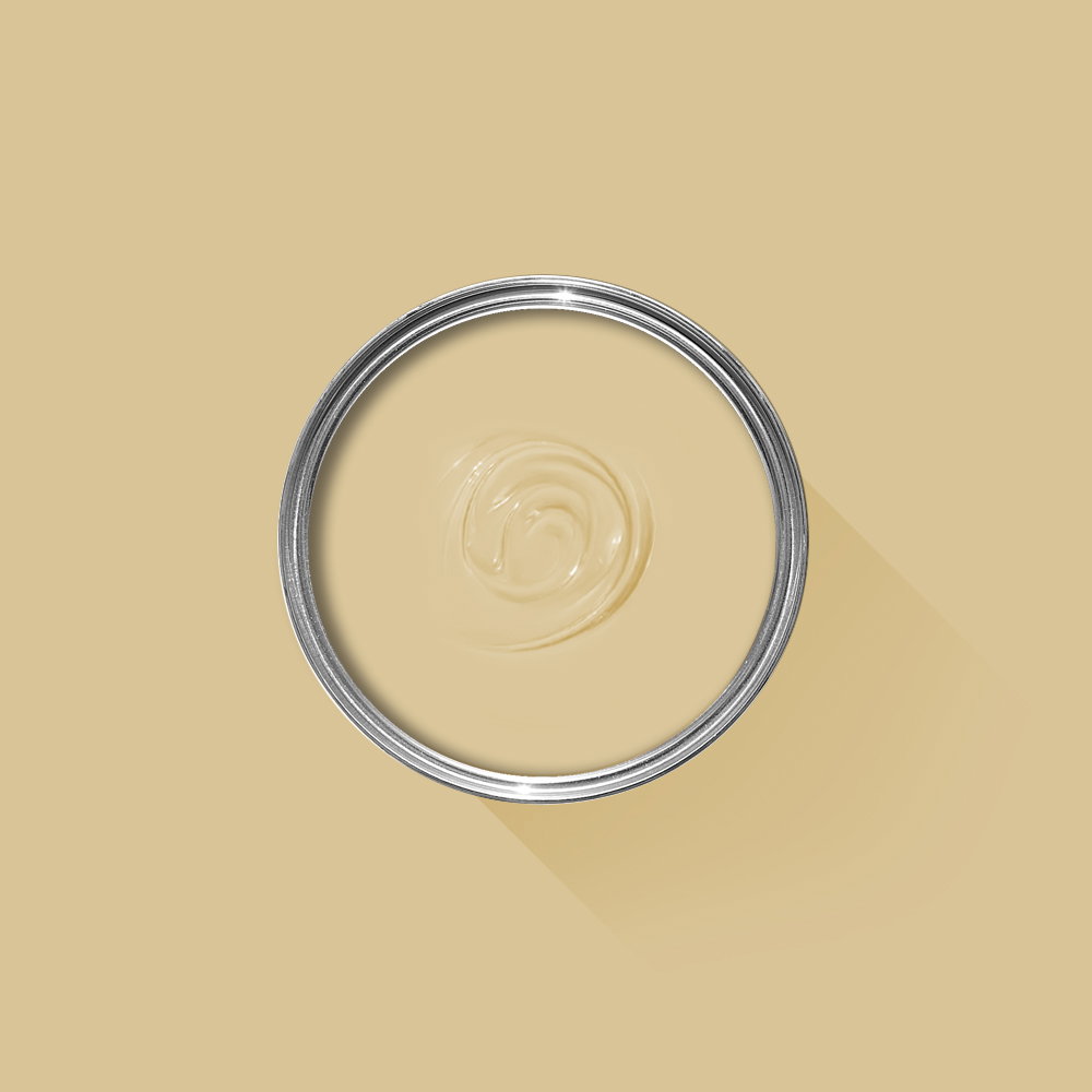 A photo looking down on a Farrow & Ball tin filled with Hay