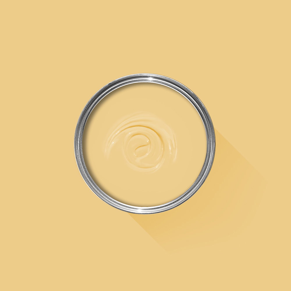 A photo looking down on a Farrow & Ball tin filled with Yellow Ground