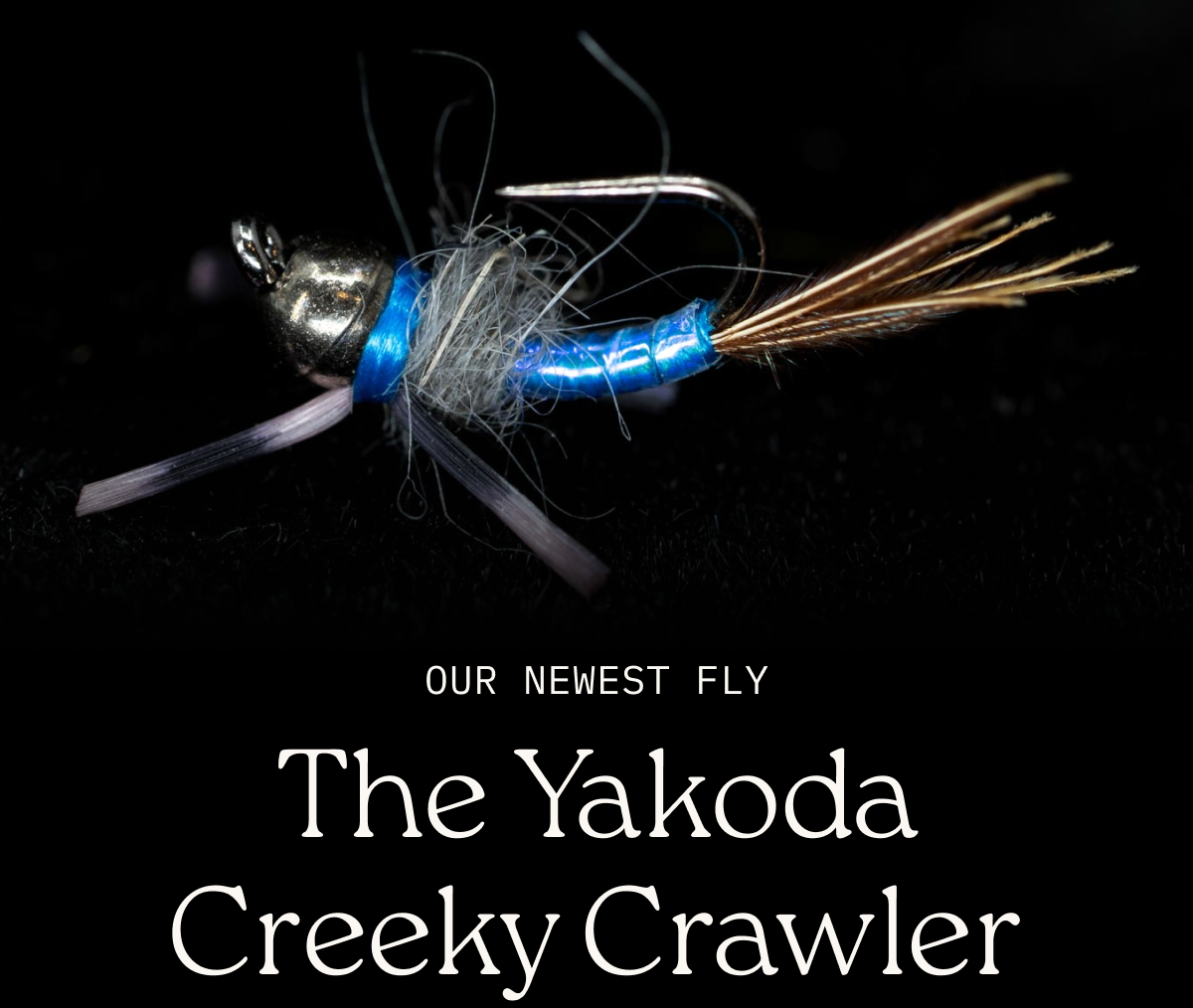The New Creeky Crawler