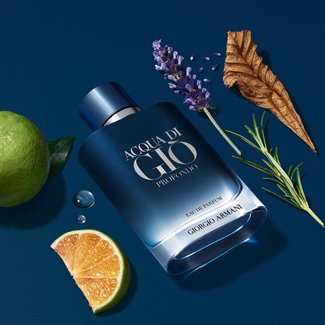 Giorgio Armani Acqua di Giò Homme Profondo Eau de Parfum