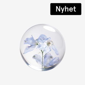 pappersvikt