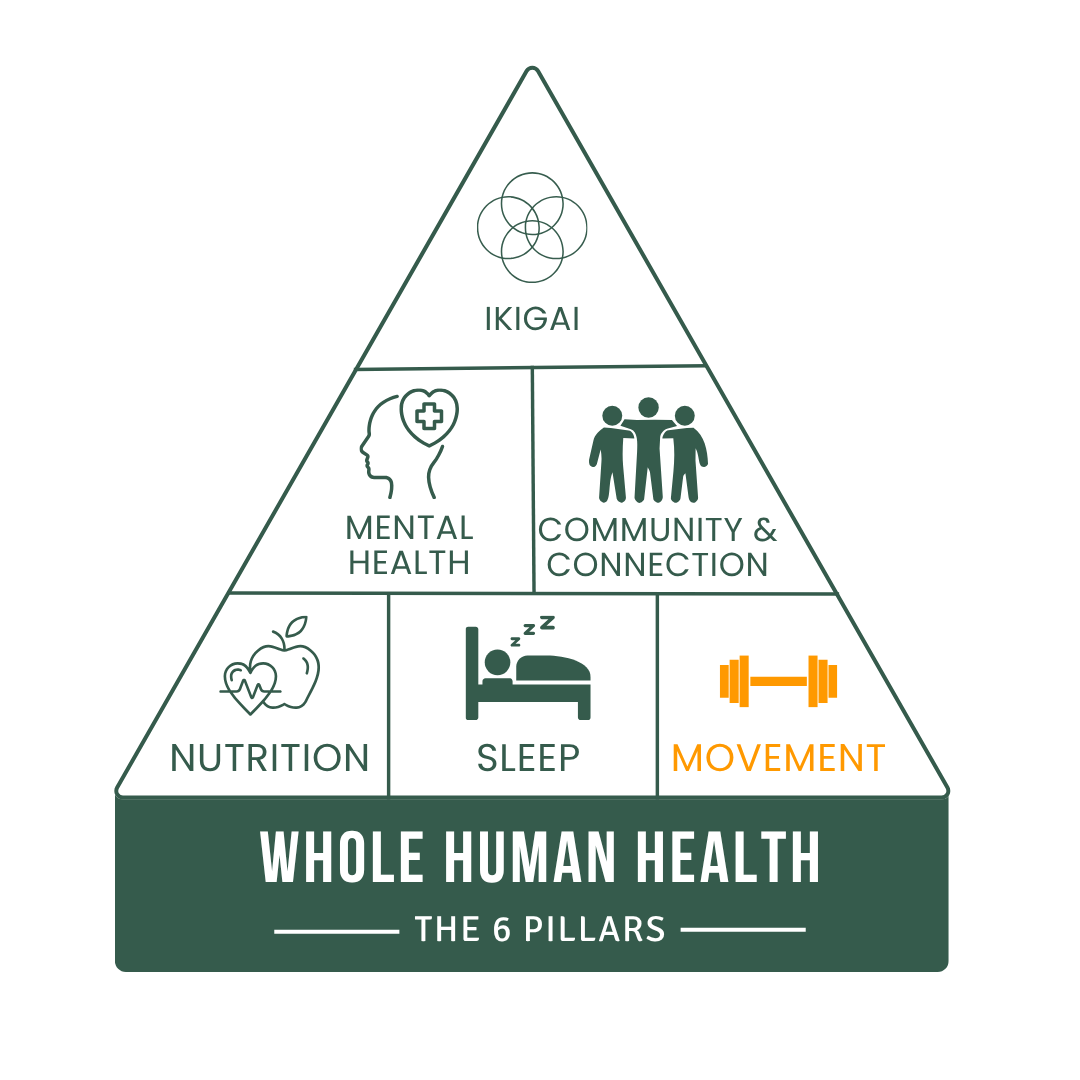 Pillars of Whole Human Health 