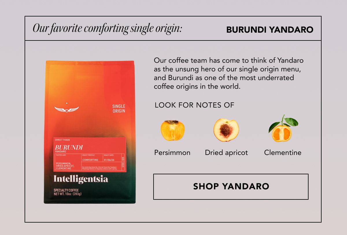 Our favorite comforting Single Origin: Burundi Yandaro | Our coffee team has come to think of Yandaro as the unsung hero of our single origin menu, and Burundi as one of the most underrated coffee origins in the world. Looks for notes of: persimmon, dried apricot, and clementine | SHOP YANDARO