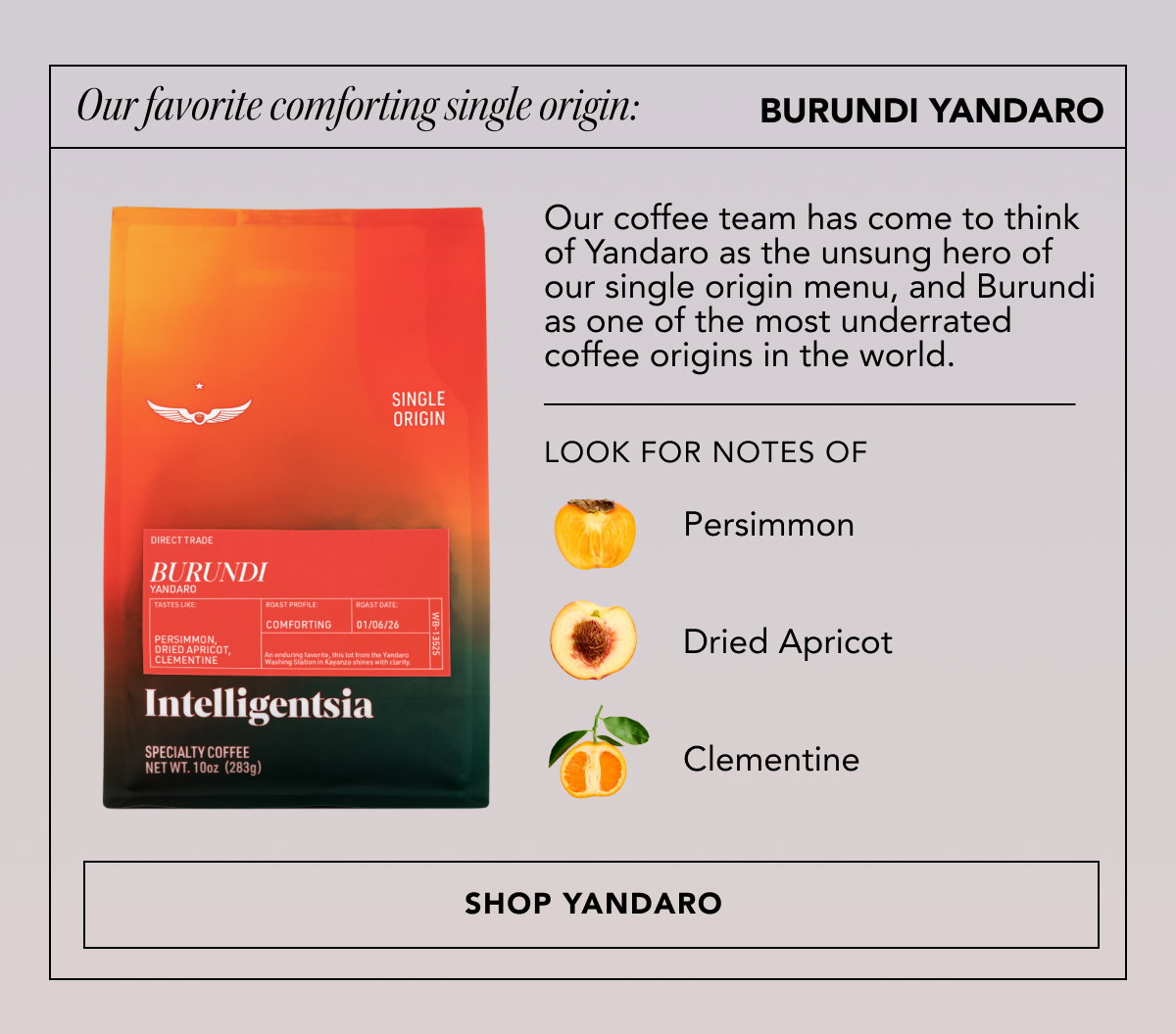 Our favorite comforting Single Origin: Burundi Yandaro | Our coffee team has come to think of Yandaro as the unsung hero of our single origin menu, and Burundi as one of the most underrated coffee origins in the world. Looks for notes of: persimmon, dried apricot, and clementine | SHOP YANDARO