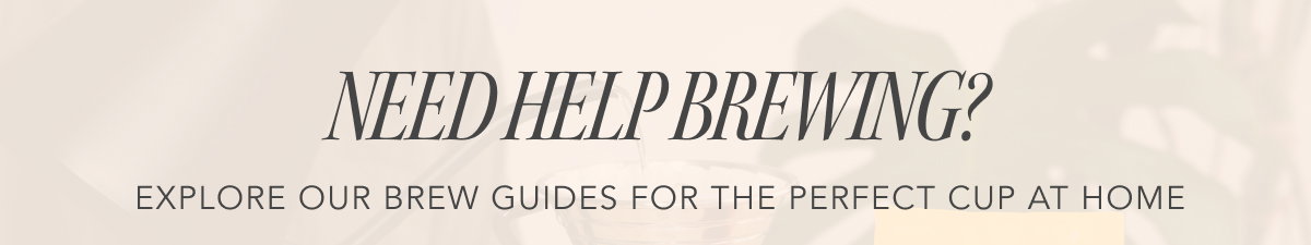 Need Help Brewing? Explore our Brew Guides for the perfect cup at home