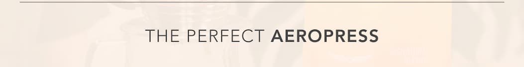 The Perfect AeroPress