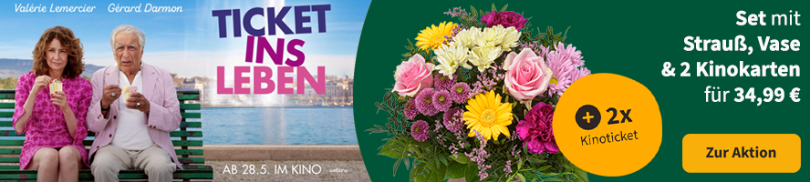 Tolles Geschenk: Blumenstrauß Sommerschönheit mit Gratis-Vase und 2 Kinokarten zum Film „Ticket ins Leben“ für 34,99 €