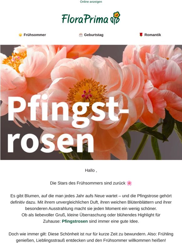 Pfingstrosen: Die schönste Art, den Frühsommer zu feiern 🌸