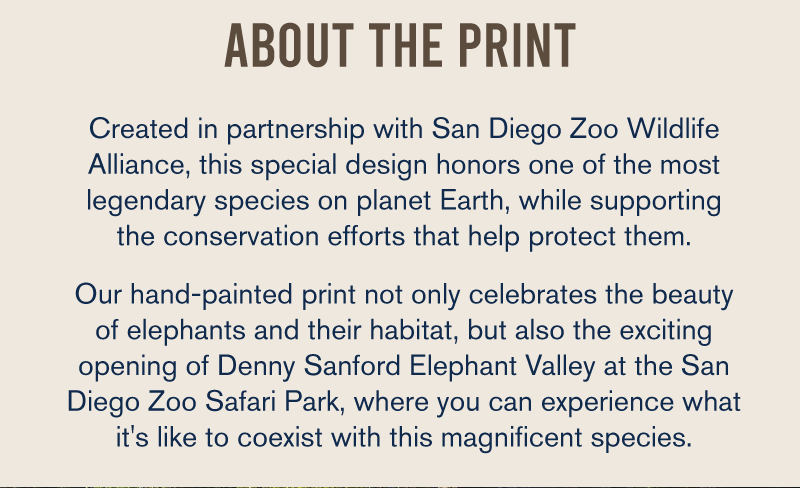 About the Print
