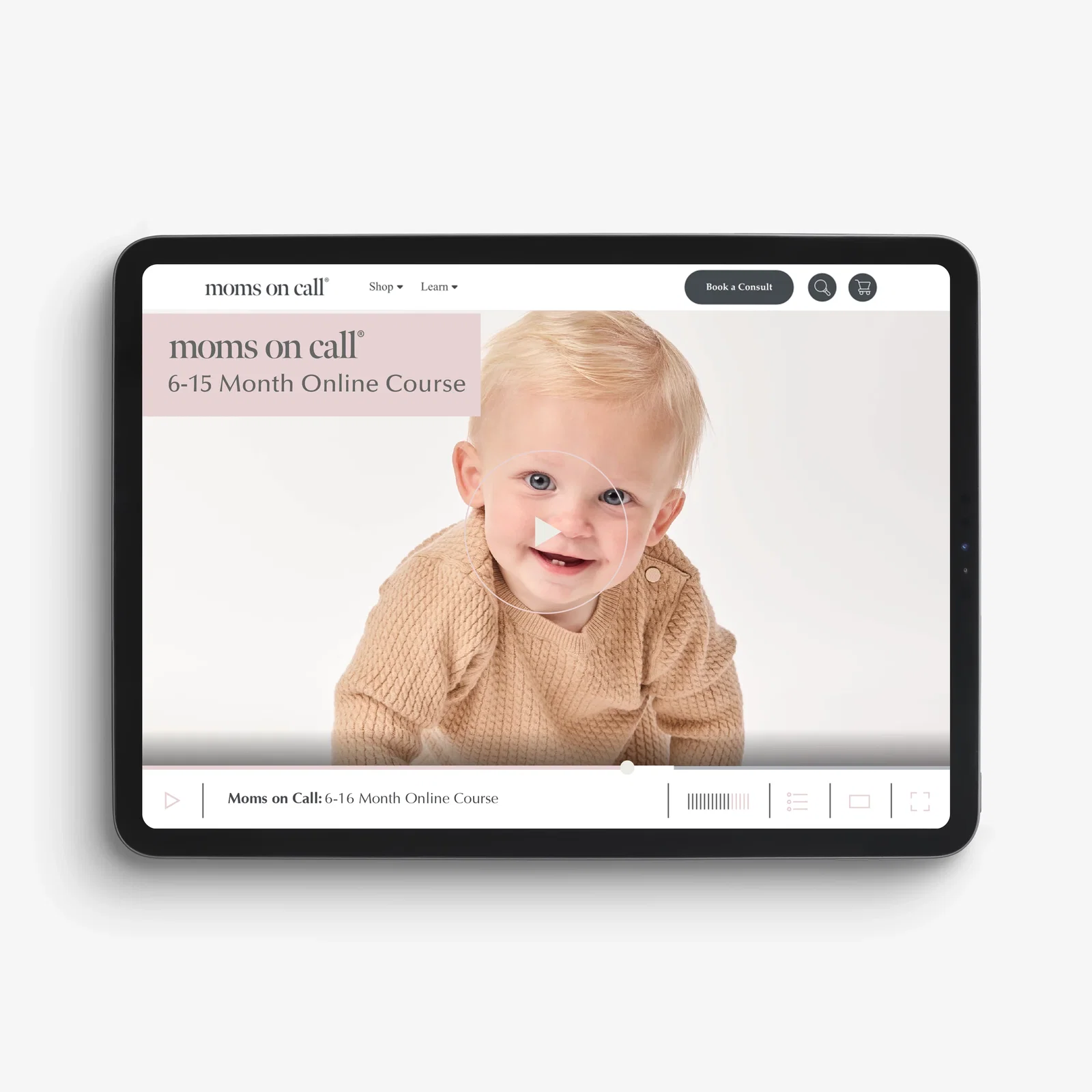 Image of 6-15 Month Online Course