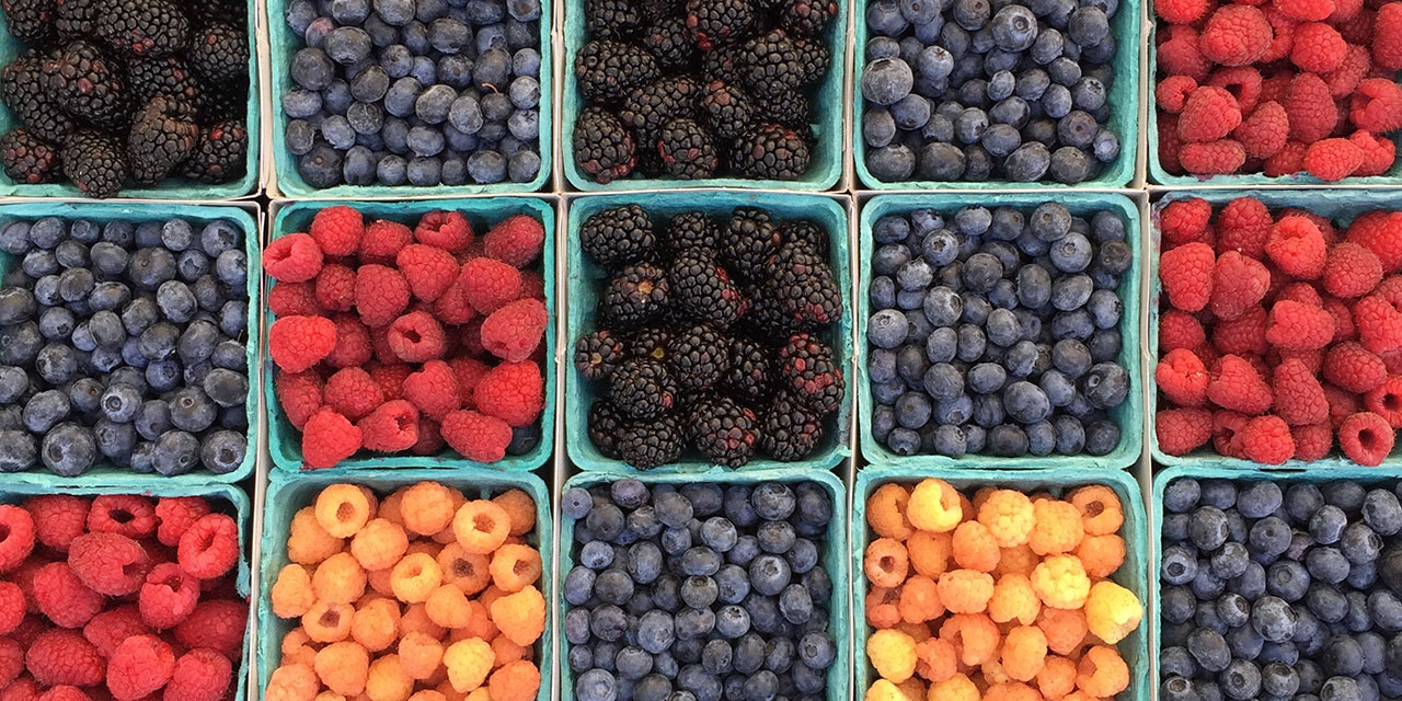 How to Make Fruit Wine