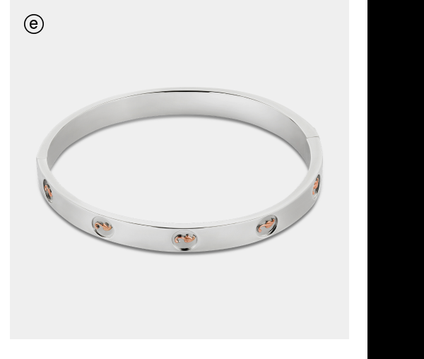 Insignia Sterling Silver Bangle
