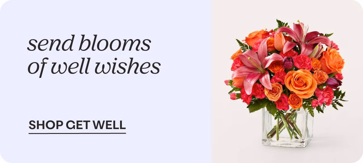 send blooms of well wishes - SHOP GET WELL »