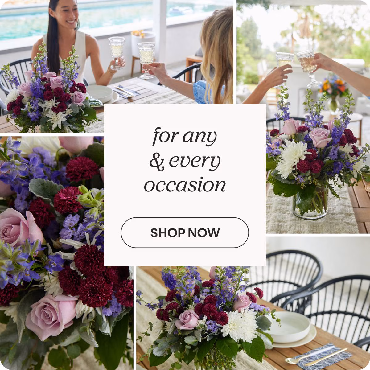 for any & every occasion - SHOP NOW »