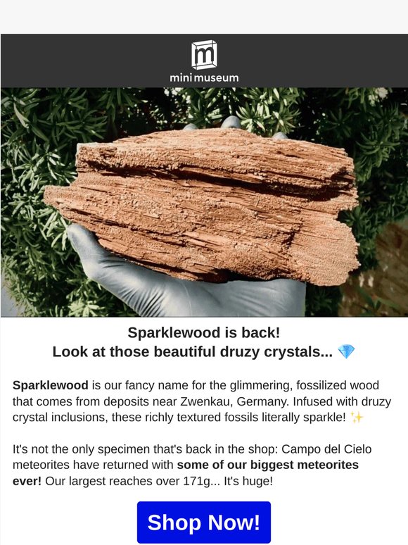 ✨ Sparklewood is back!