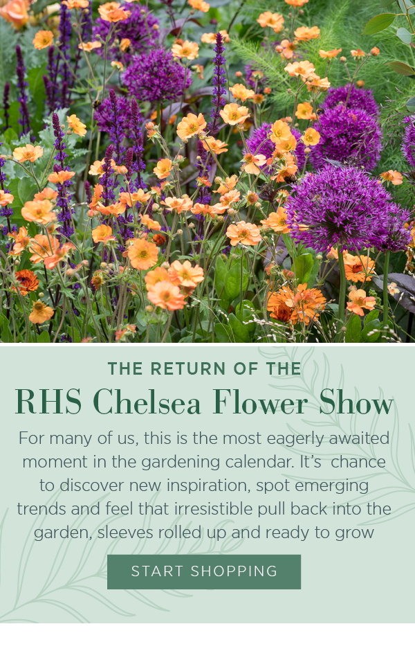 The return of the RHS Chelsea Flower Show. For many of us, this is the most eagerly awaited moment in the gardening calendar. It's chance to discover new inspiration, spot emerging trends and feel that irresistible pull back into the garden, sleeves rolled up and ready to grow. Start shopping.