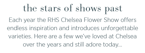 The stars of the shows past. Each year the RHS Chelsea Flower Show offers endless inspiration and introduces unforgettable varieties. Here are a few we've loved at Chelsea over the year and still adore today...