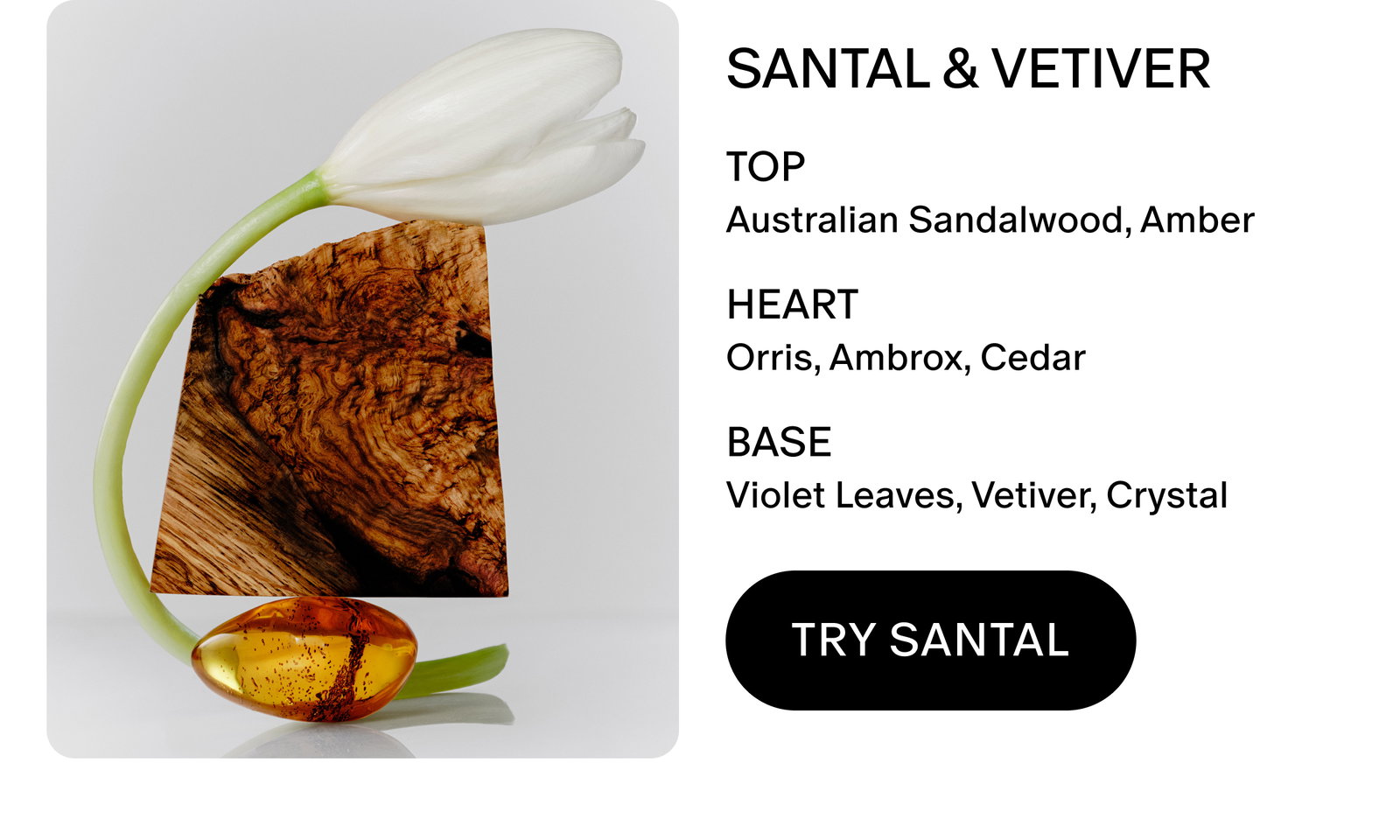SANTAL & VETIVER scent notes