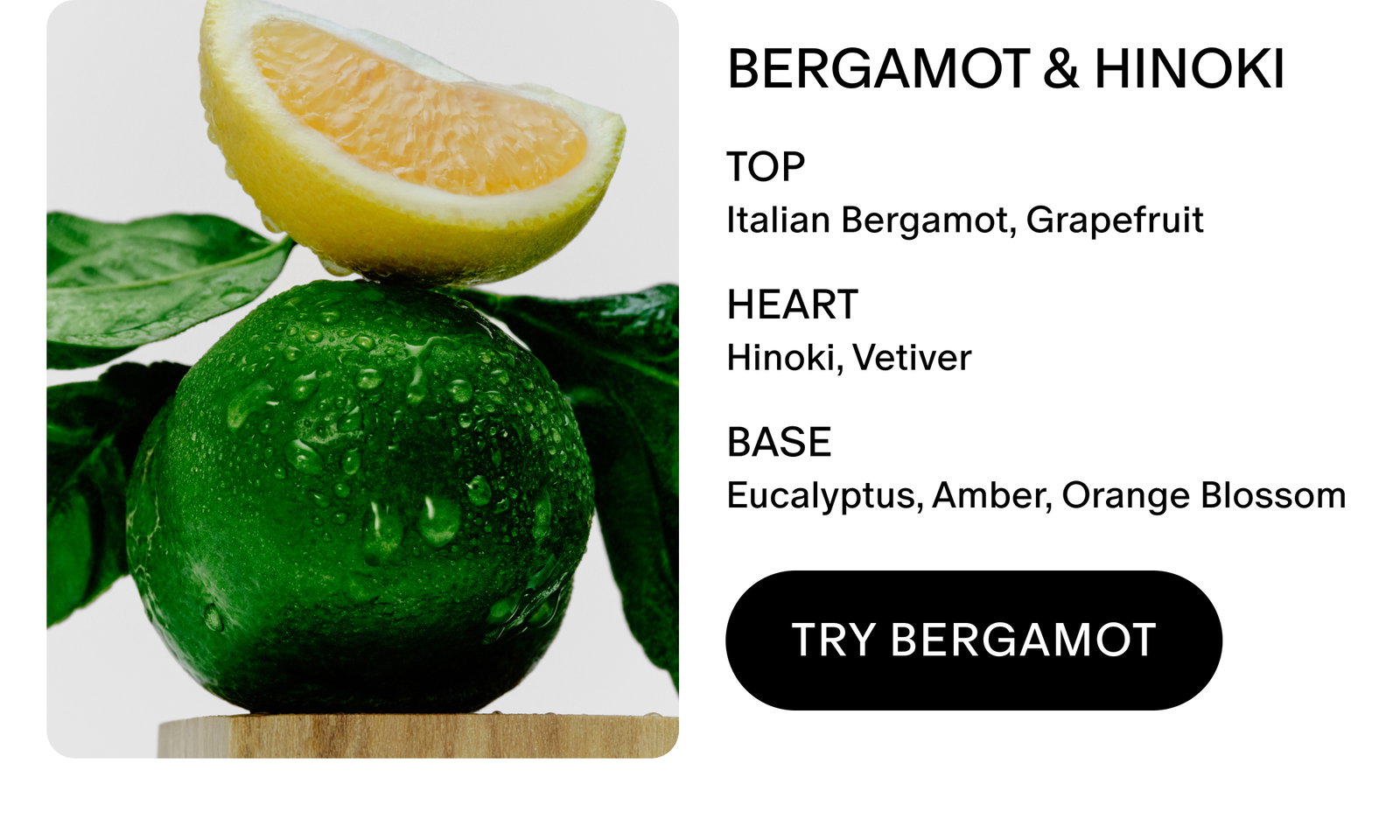 BERGAMOT & HINOKI scent notes