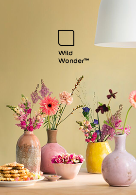 Dulux Wild Wonder™