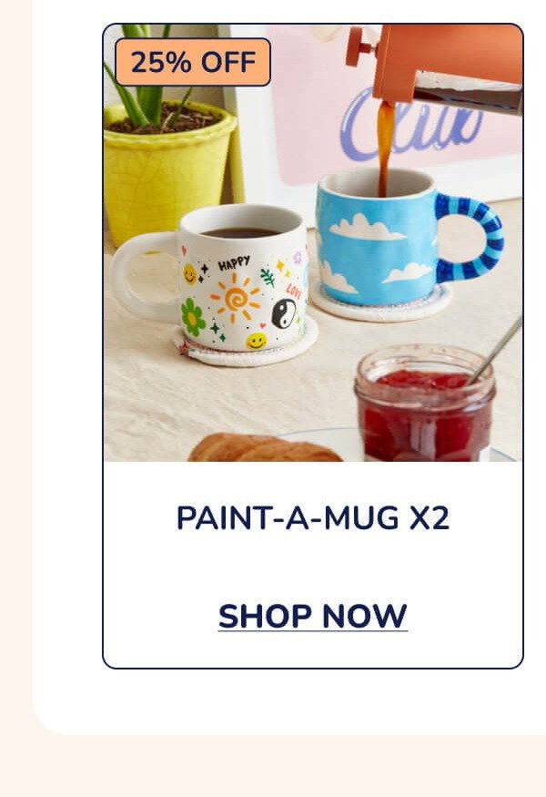 Paint-a-Mug x2