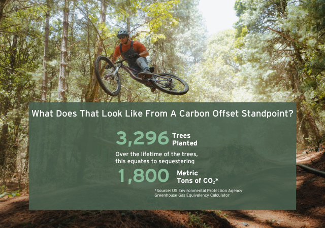WHAT DOES 3,296 TREES LOOK LIKE FROM A CARBON OFFSET?