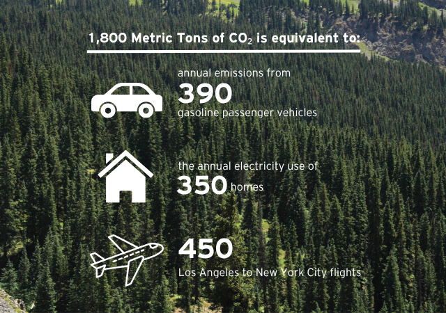 CARBON OFFSET EQUIVALENCIES