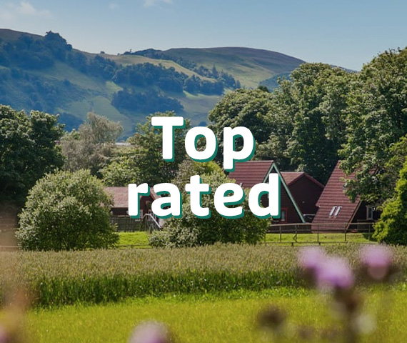 Top rated