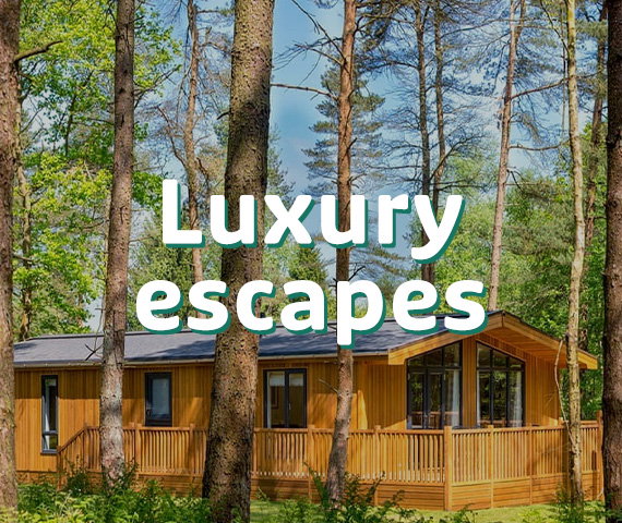 Luxury