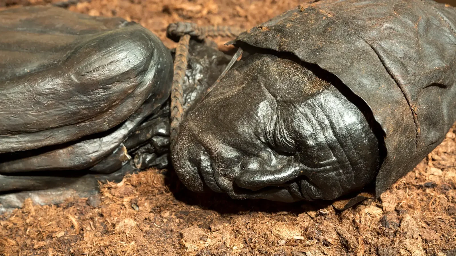 I’m an image