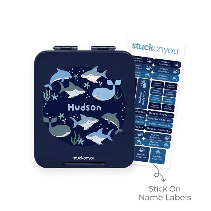 Snack Box + Labels Pack