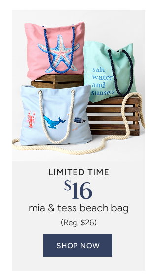 Limited time $16 mia & tess beach bag (Reg. $26)